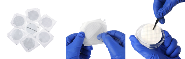 600 Membrane Filter CD Blog UCT
